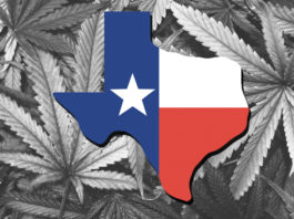 Marijuana | Houston