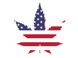 Marijuana Cory Booker