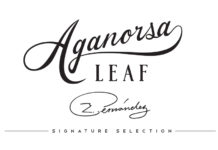 Aganorsa Leaf Signature Series