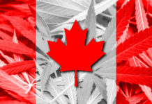 Canada Federally Legalizes Recreational Cannabis