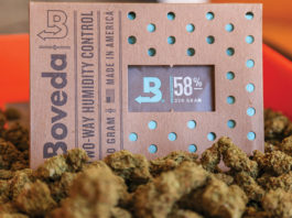 Boveda