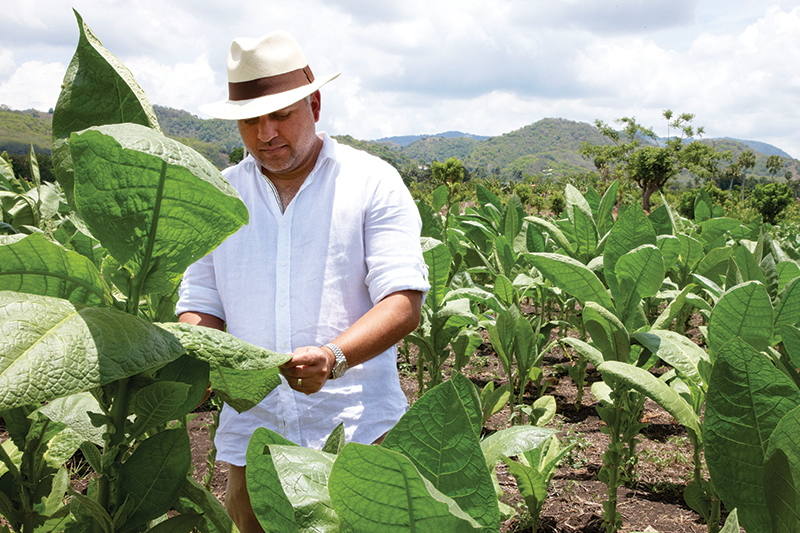 Francisco Baptista, Royal Agio Cigars