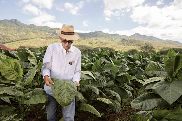 Manuel Perlata, Davidoff Cigars