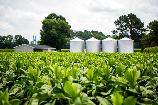 U.S. Tobacco Cooperative