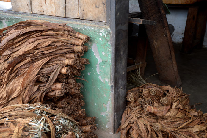 CBP Modifies Withhold Release Order for Some Malawi Tobacco Imports