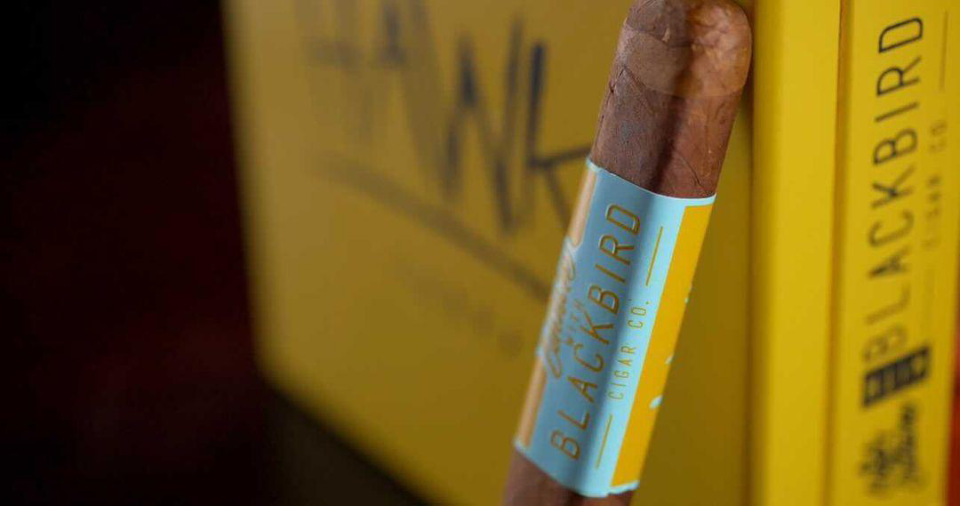The Cigar Culture and Blackbird Cigar Co. | Hawk Cubra