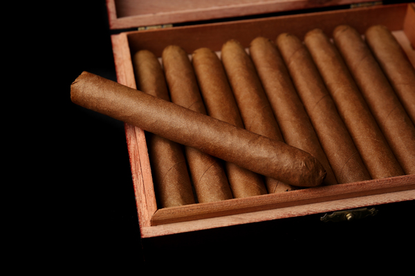 Multi-Category Tobacco Retailers | Cigars