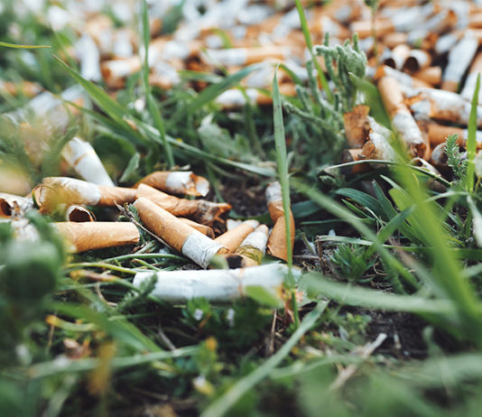 WHO | Sustainability and Greenwashing in Tobacco Industry