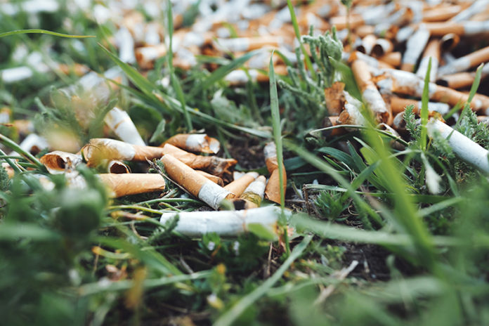 WHO | Sustainability and Greenwashing in Tobacco Industry