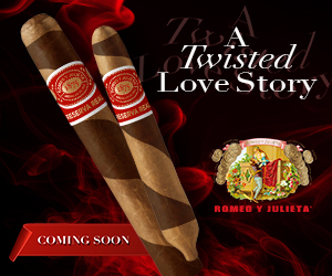 Romeo y Julieta Twisted Love Story